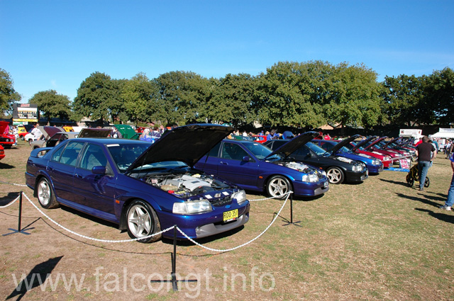 DSC_4663_resize